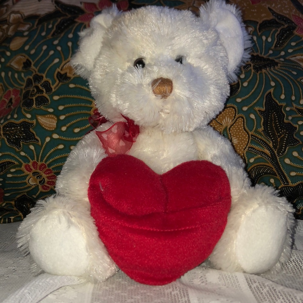 8 1/2” teddy bear  ♥️